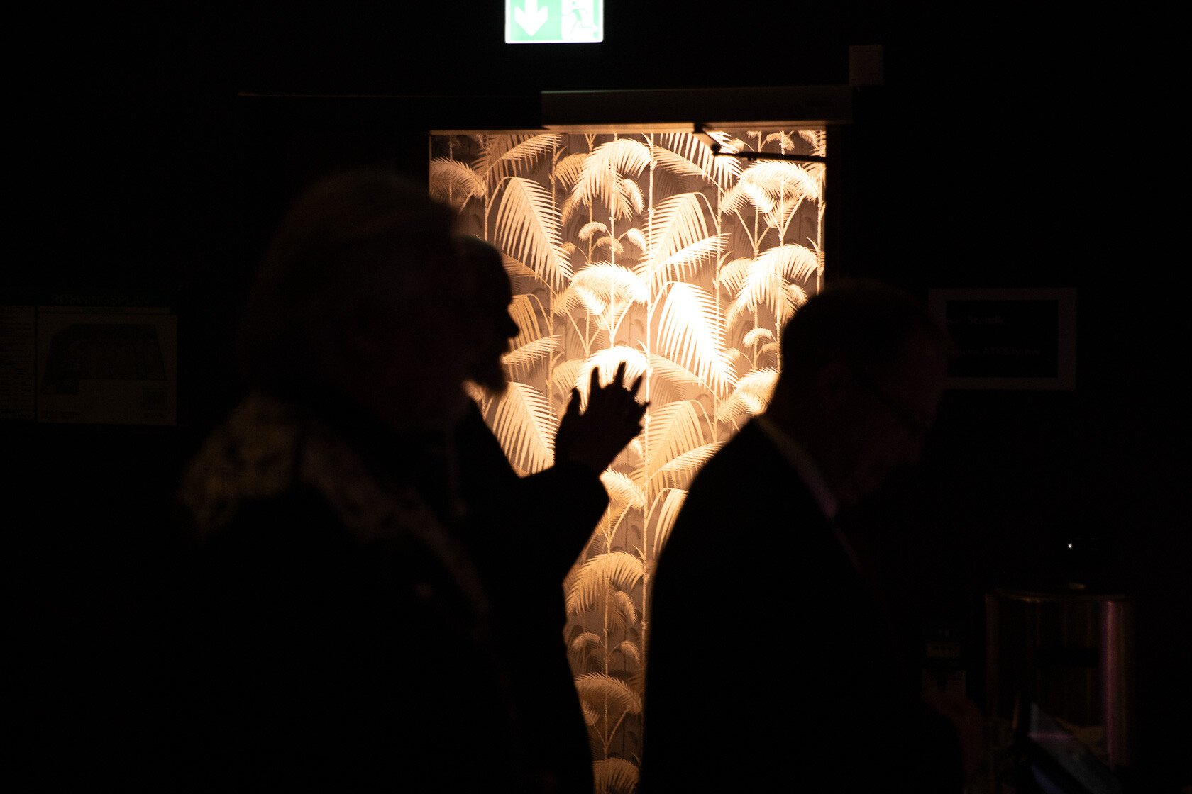 _MG_0376_80-25-72
